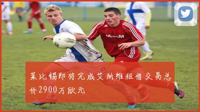 莱比锡即将完成艾纳维租借交易总价2900万欧元